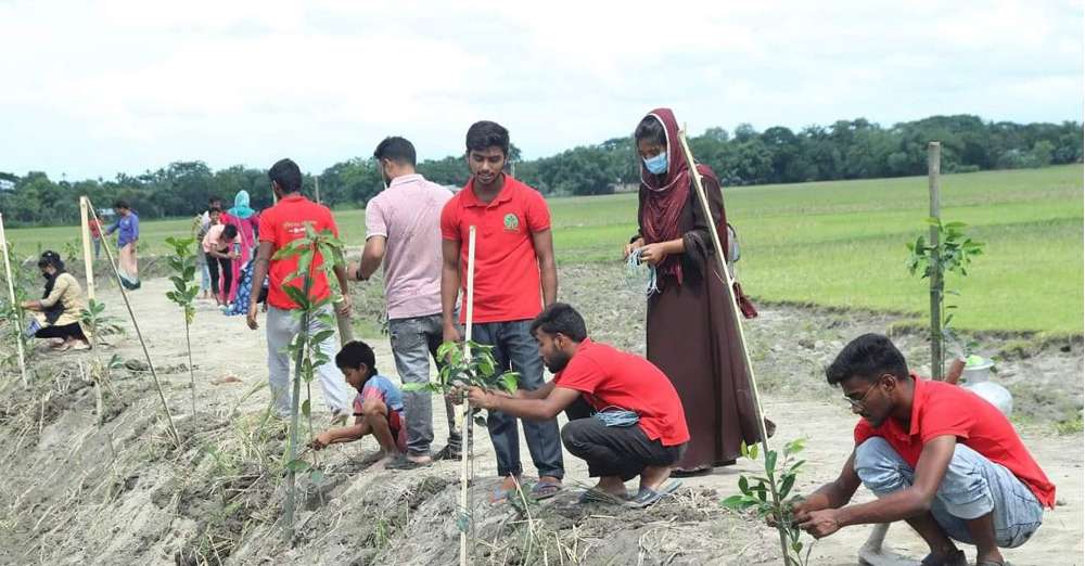 Planting trees on two and a half kilometers of roads